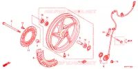 RUOTA ANTERIORE  per Honda CBR 150 R PGMFI 2011