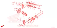 ALBERO A CAMME/VALVOLA   per Honda PCX 125 CBS 2021