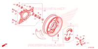 RUOTA POSTERIORE/BRACCIO OSCILLANTE (WW125/A ED) per Honda PCX 125 CBS 2021