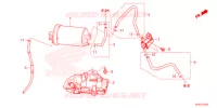 CANISTRO   per Honda CBF 125 2021