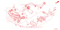 LUCE CODA/LUCE TARGA   per Honda CBF 125 2021