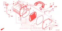 FILTRO ARIA   per Honda MSX 125 ABS 2021