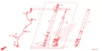 FORCELLA ANTERIORE  per Honda MSX 125 ABS 2021