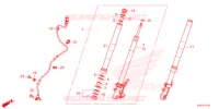 FORCELLA ANTERIORE  per Honda MSX 125 ABS 2021
