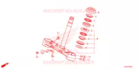 GAMBA STERZO   per Honda MSX 125 ABS 2021