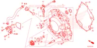 COPERTURA CASSA MANOVELLA/POMPA ACQUA  per Honda FORZA 350 2021