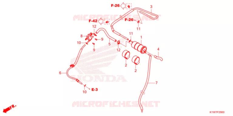 CANISTRO   Honda SCOOTER 350 SH 2021  SH350AM