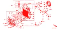 RADIATORE   per Honda ADV 150 ABS 2021