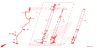 FORCELLA ANTERIORE  per Honda GROM 125 2022