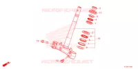 GAMBA STERZO   per Honda PCX 150 2021
