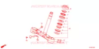 GAMBA STERZO   per Honda MSX 125 2021