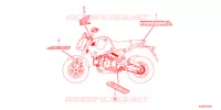 MARCHIO/STRISCIA  per Honda MSX 125 2021