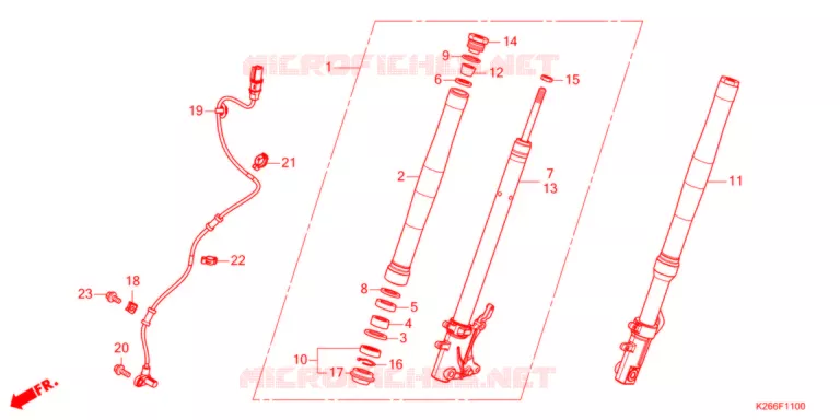 FORCELLA ANTERIORE  Honda MOTO 125 GROM 2022  MSX125AM