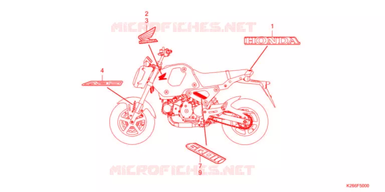 MARCHIO/STRISCIA  Honda MOTO 125 GROM 2021  MSX125AM