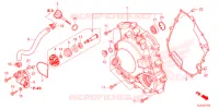 COPERTURA CASSA MANOVELLA/POMPA ACQUA  per Honda FORZA 250 2021