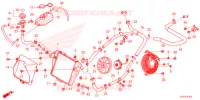 RADIATORE   per Honda FORZA 250 2021