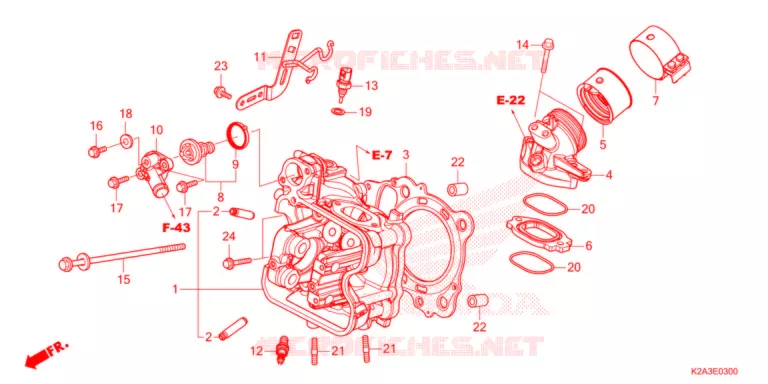 TESTATA   Honda SCOOTER 250 FORZA 2021  NSS250AM