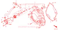 COPERTURA CASSA MANOVELLA/POMPA ACQUA  per Honda FORZA 250 2021