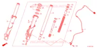 FORCELLA ANTERIORE  per Honda PCX 125 HYBRID e:HEV 2022