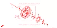 RUOTA ANTERIORE  per Honda PCX 125 HYBRID e:HEV 2022