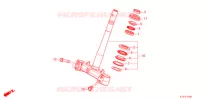 GAMBA STERZO   per Honda PCX 160 2021