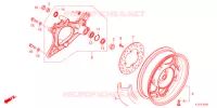 RUOTA POSTERIORE/BRACCIO OSCILLANTE  per Honda PCX 160 2021