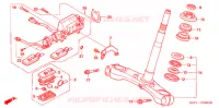 GAMBA STERZO   per Honda FORZA 250 Z SPECIAL 2005