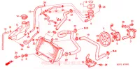 RADIATORE   per Honda FORZA 250 Z SPECIAL 2005