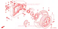 RUOTA POSTERIORE/BRACCIO OSCILLANTE  per Honda FORZA 250 Z SPECIAL 2005