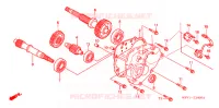 TRASMISSIONE  per Honda FORZA 250 Z SPECIAL 2005