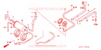 CANISTRO EVAP  per Honda CN 250 HELIX 2001