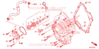 COPERTURA CASSA MANOVELLA/POMPA ACQUA  per Honda FORZA 300 ABS TOP BOX TYPE 3E 2018