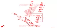 GAMBA STERZO   per Honda FORZA 300 ABS TOP BOX TYPE 3E 2018