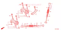 ALBERO A CAMME/VALVOLA   per Honda CBR 150 R 2013