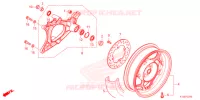 RUOTA POSTERIORE/BRACCIO OSCILLANTE  per Honda PCX 160 ABS 2022