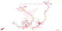 CANISTRO per Honda FORZA 125 TOP BOX 2022