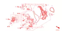 POMPA ACQUA per Honda FORZA 125 TOP BOX 2022