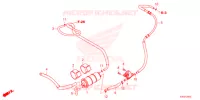 CANISTRO per Honda FORZA 125 2022