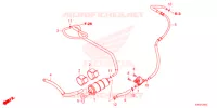 CANISTRO per Honda FORZA 125 2022