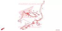 CANISTRO per Honda SH 125 ABS 4ED 2022