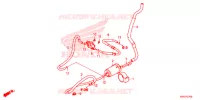 CANISTRO per Honda SH 125 ABS 3ED 2022