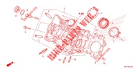 TESTATA per Honda X ADV 750 -3ED- 2022