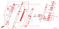 GAMBA STERZO/FORCELLA ANTERIORE per Honda LEAD 110 2013