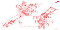 LUCE CODA per Honda NC 750 X ABS 2017