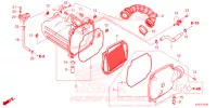 FILTRO ARIA(2) per Honda MSX 125 ABS 2022