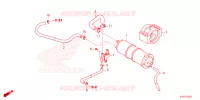 CANISTRO per Honda MSX 125 2023