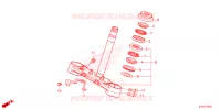 FORCELLA ANTERIORE/GAMBA STERZO per Honda MSX 125 2023