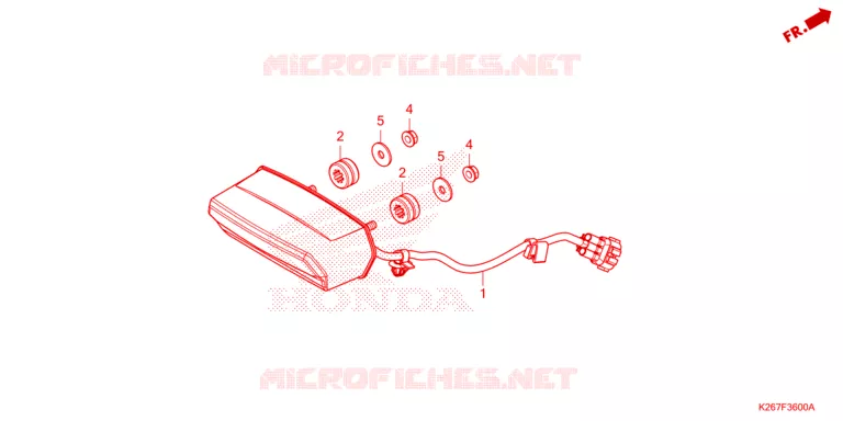 LUCE CODA Honda MOTO 125 MSX 2023  MSX125AP