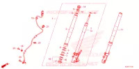 FORCELLA ANTERIORE/GAMBA STERZO per Honda MSX 125 2023