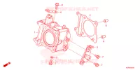 MAESTRO FRENO POSTERIORE  per Honda SH 125 SPORTY 4ED 2023